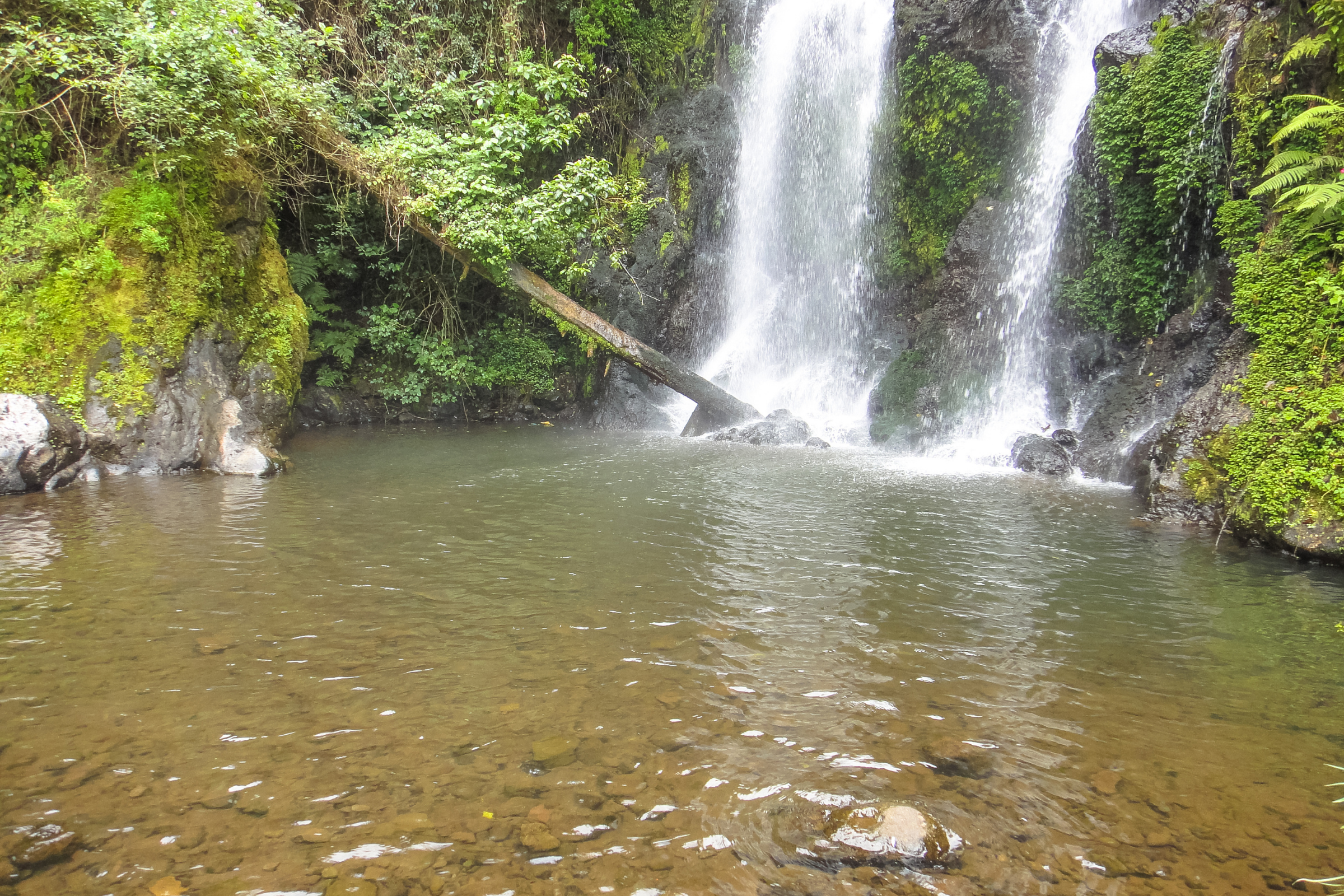 marangu (4).webp